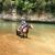Yvonne Banapoor Flister's profile image
