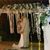 Luz Harms Sabrica's profile image