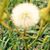 Terri Lynn G-Bunn's profile image