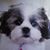 Don Rataj's profile image