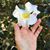 Cynthia Leary Stroo's profile image