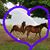 Sonya Rippy's profile image
