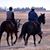 Vicki Knecht's profile image