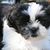 Judy Diamond's profile image