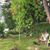 Mary Carroll Lindmeyer's profile image
