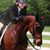 Judy Caffrey's profile image