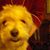 Sandy Tabbutt Estheimer's profile image