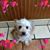 Cheri Lowery's profile image