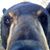 LutherShawna Talk-Standingbear's profile image