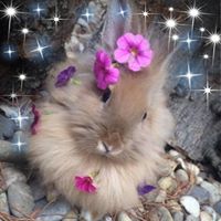 Gail Jones's profile image