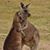 Barbara Wilson Pratt's profile image