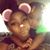 She Weddle's profile image