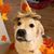 Kate Gefroh's profile image