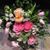 SuzienDaren Steinfort's profile image