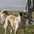 George Bryerton's profile image