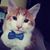 Shirley Myers Braunbeck's profile image
