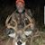 Doug Arrow Slinger Stringer's profile image