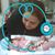 Tish Campbell Thonsgaard's profile image