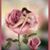 Anyi Alvarado's profile image