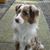 Abbi Morris's profile image