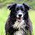 Nancy Eha Blackmon's profile image