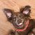 David Loftin's profile image