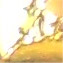 Peter's profile image