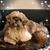 Patrizia Fabbri's profile image