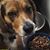 Sheril Sokey's profile image