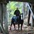 Kevin McMillan's profile image