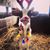 Jane Pollio's profile image