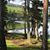 Linda Carlson's profile image