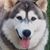 Kim Hoff's profile image