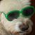 Pete Smith's profile image