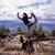 Selma Yoga's profile image
