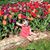 Melissa Morrow Edwards's profile image