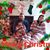 Sam Gallardo's profile image
