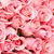 Christina Latimer's profile image