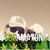 Sandrine Vidoudou's profile image