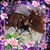 Tonya Headley's profile image
