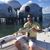 Robert Piantoni's profile image