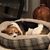 Anna S. Wilson's profile image