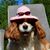Michelle Donk's profile image