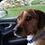 Eddie Richardson's profile image