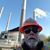Phillip Perkins's profile image