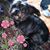 Betsy Segal's profile image
