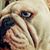 John Wayne Stambaugh's profile image