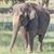 Barbara Barr's profile image