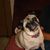 Raspberry Schade's profile image