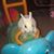 Breyon Maasch's profile image
